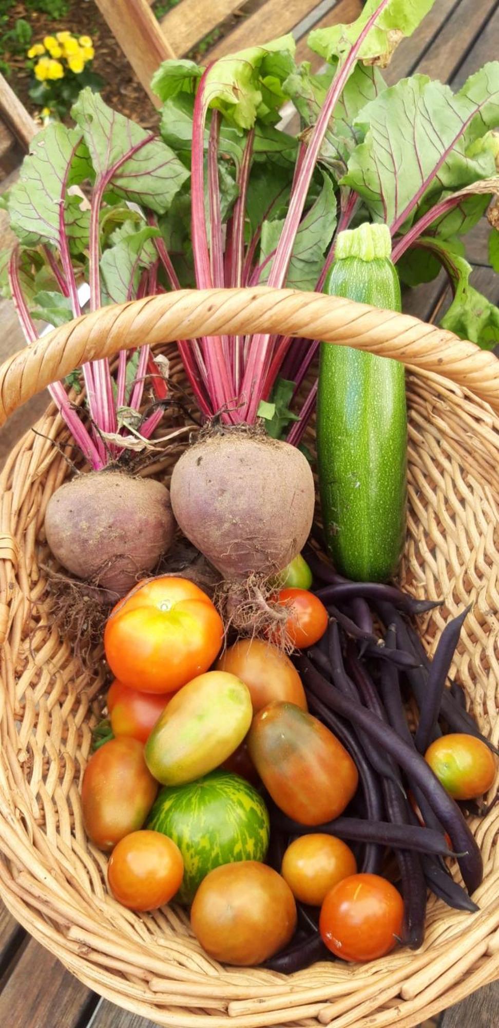 Les Jardins De Nanine Panzió Lapleau Kültér fotó