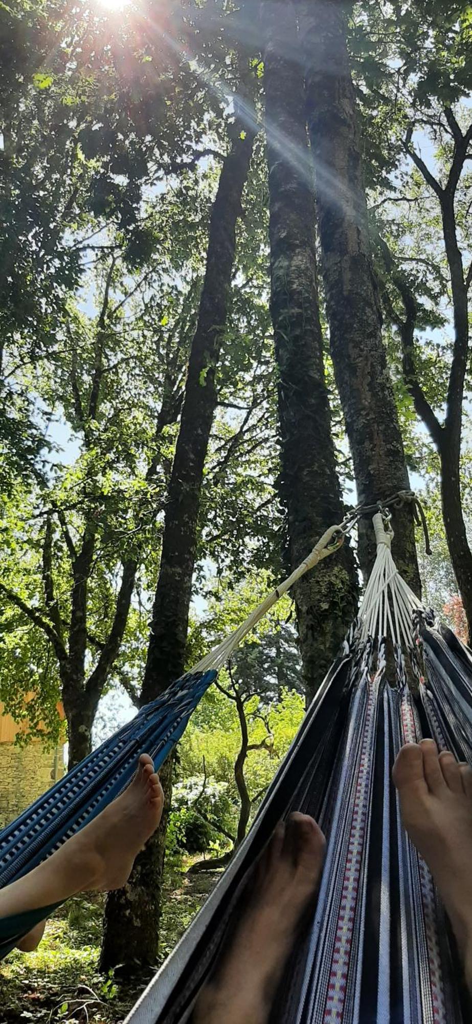Les Jardins De Nanine Panzió Lapleau Kültér fotó